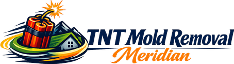 TNT Mold Removal Meridian